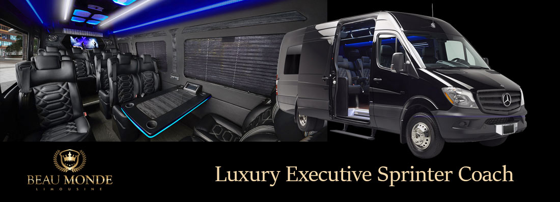 portland-executive-sprinter-services